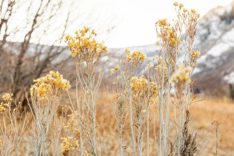 Tiny photo for 310 S MARYFIELD DR #307, Salt Lake City, UT 84108 (MLS # 2132474)