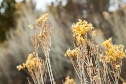 Tiny photo for 310 S MARYFIELD DR #307, Salt Lake City, UT 84108 (MLS # 2132474)