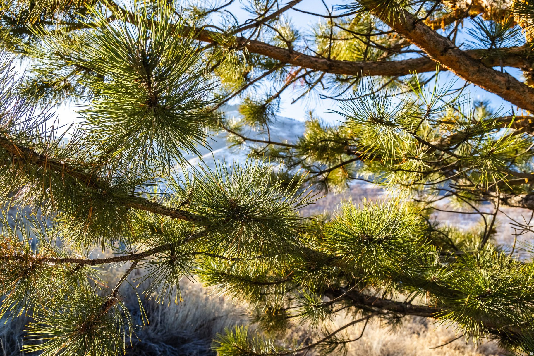 EMIGRATION PLACE - Land