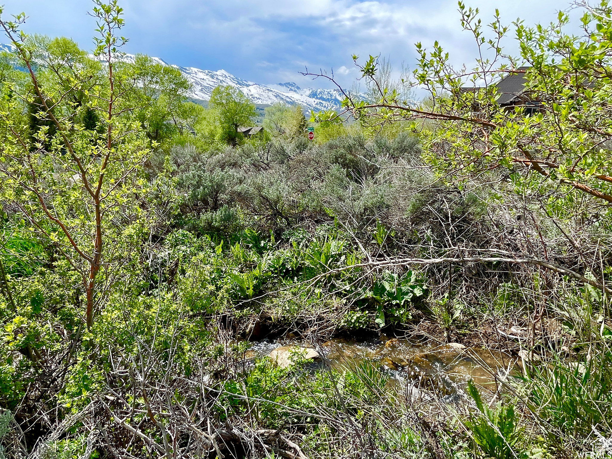 4580 N Sheep Creek Dr #94, Eden, Utah image 8