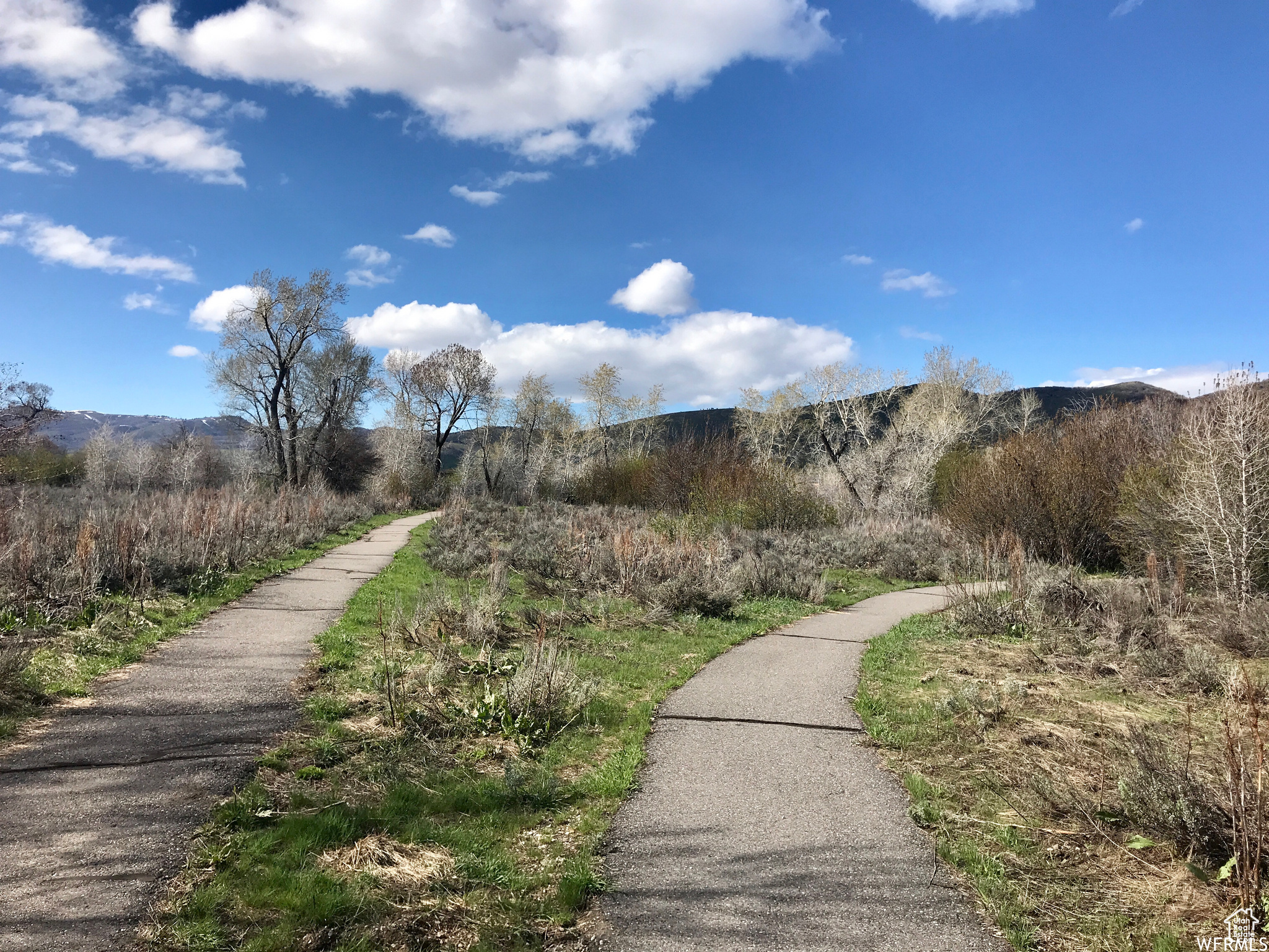 4580 N Sheep Creek Dr #94, Eden, Utah image 20