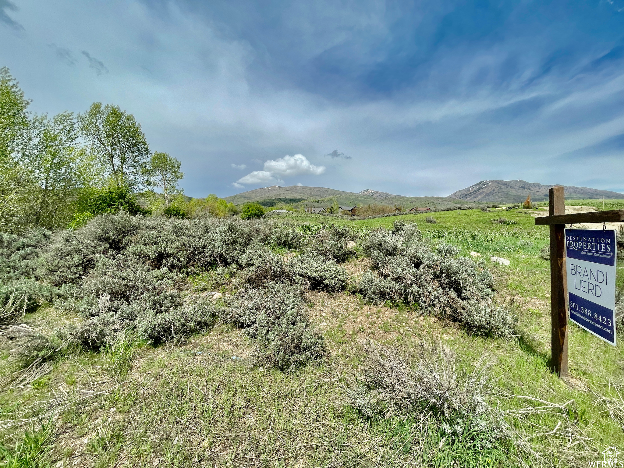 4580 N Sheep Creek Dr #94, Eden, Utah image 4