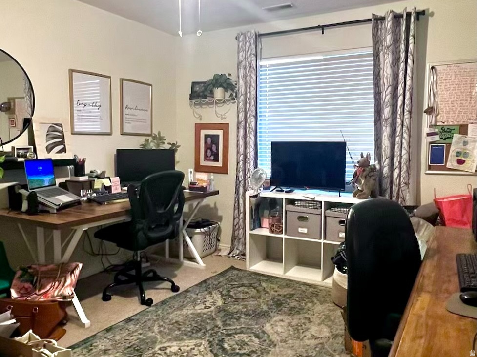 WILLOW SPRINGS - Residential