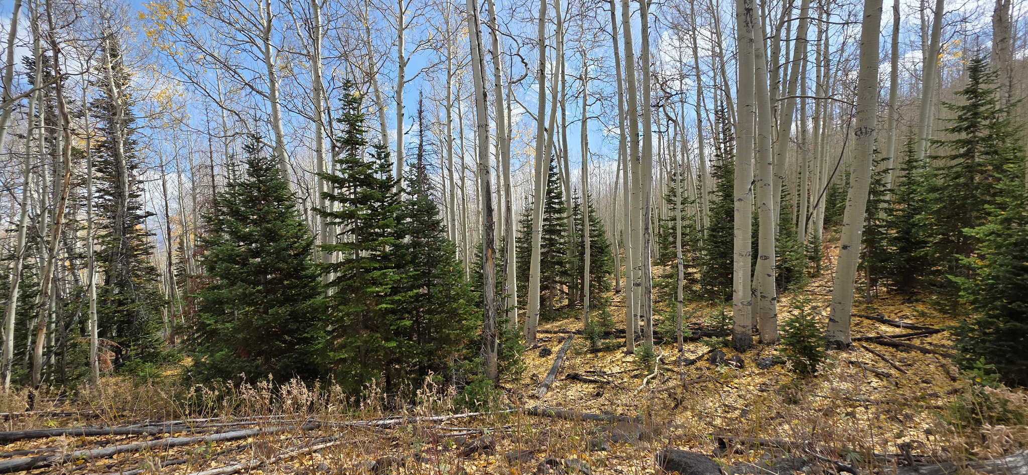 HENRIES HOLLOW PHASE 2 - Land