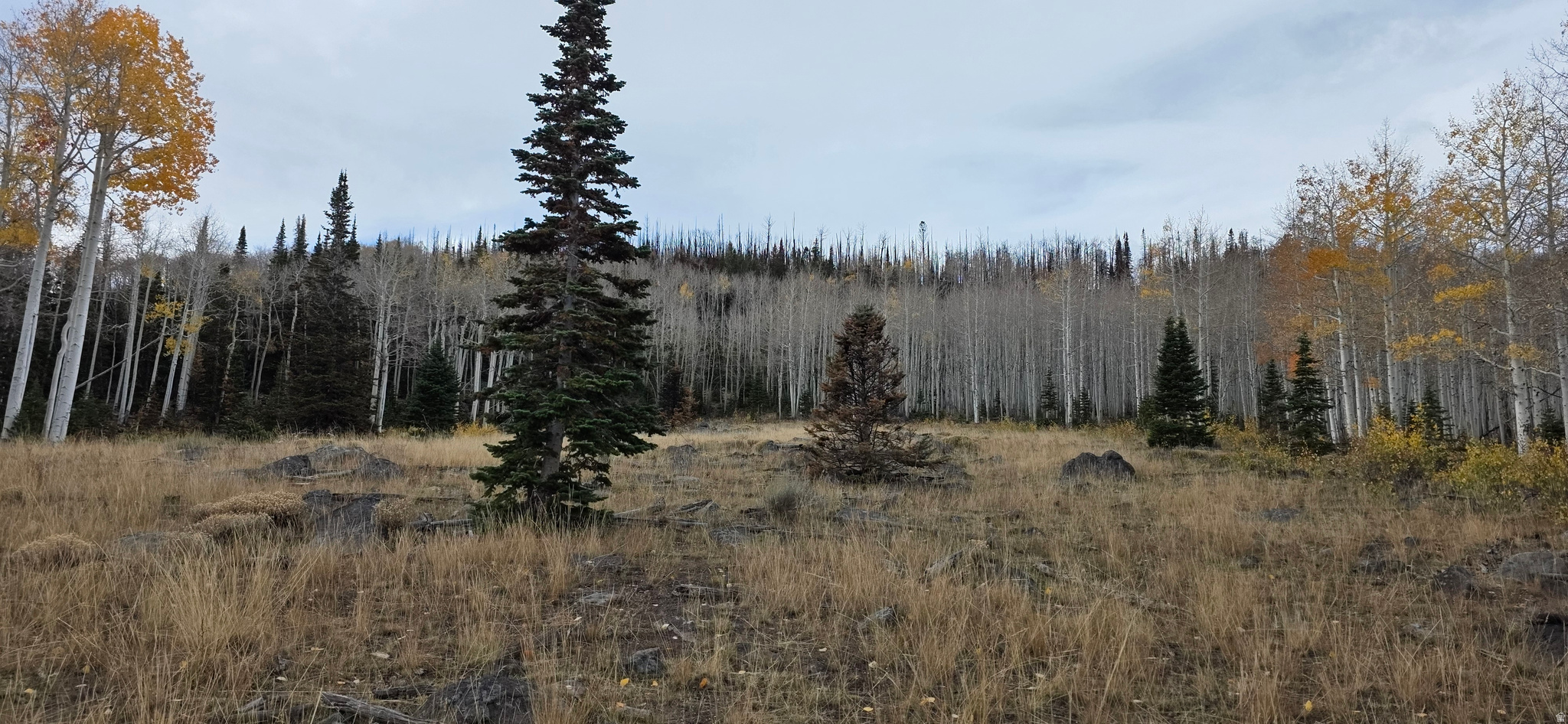 HENRIES HOLLOW PHASE 2 - Land