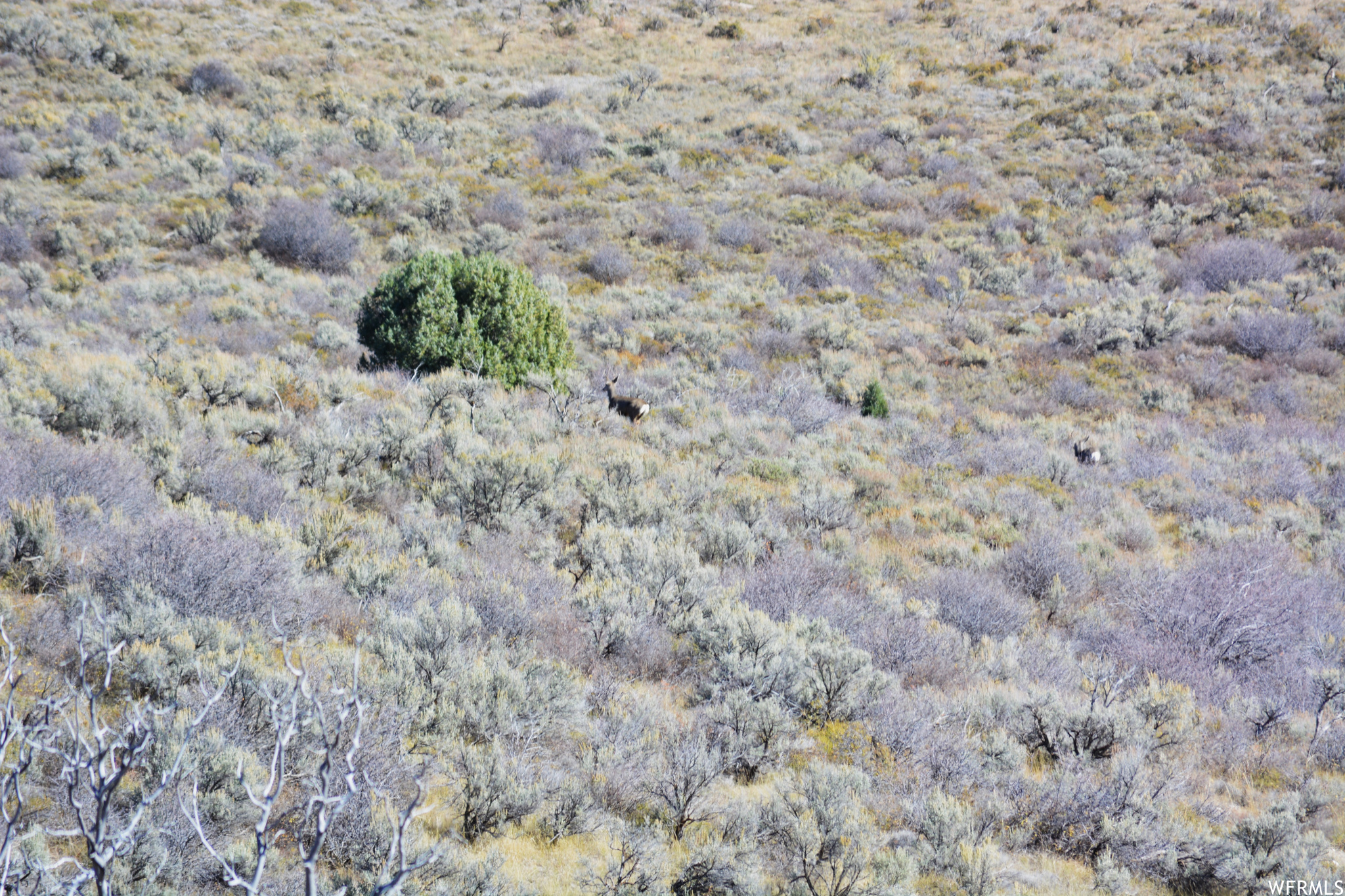 W Smit Rd And East Of Noveen Ln Rd, Georgetown, Idaho image 46