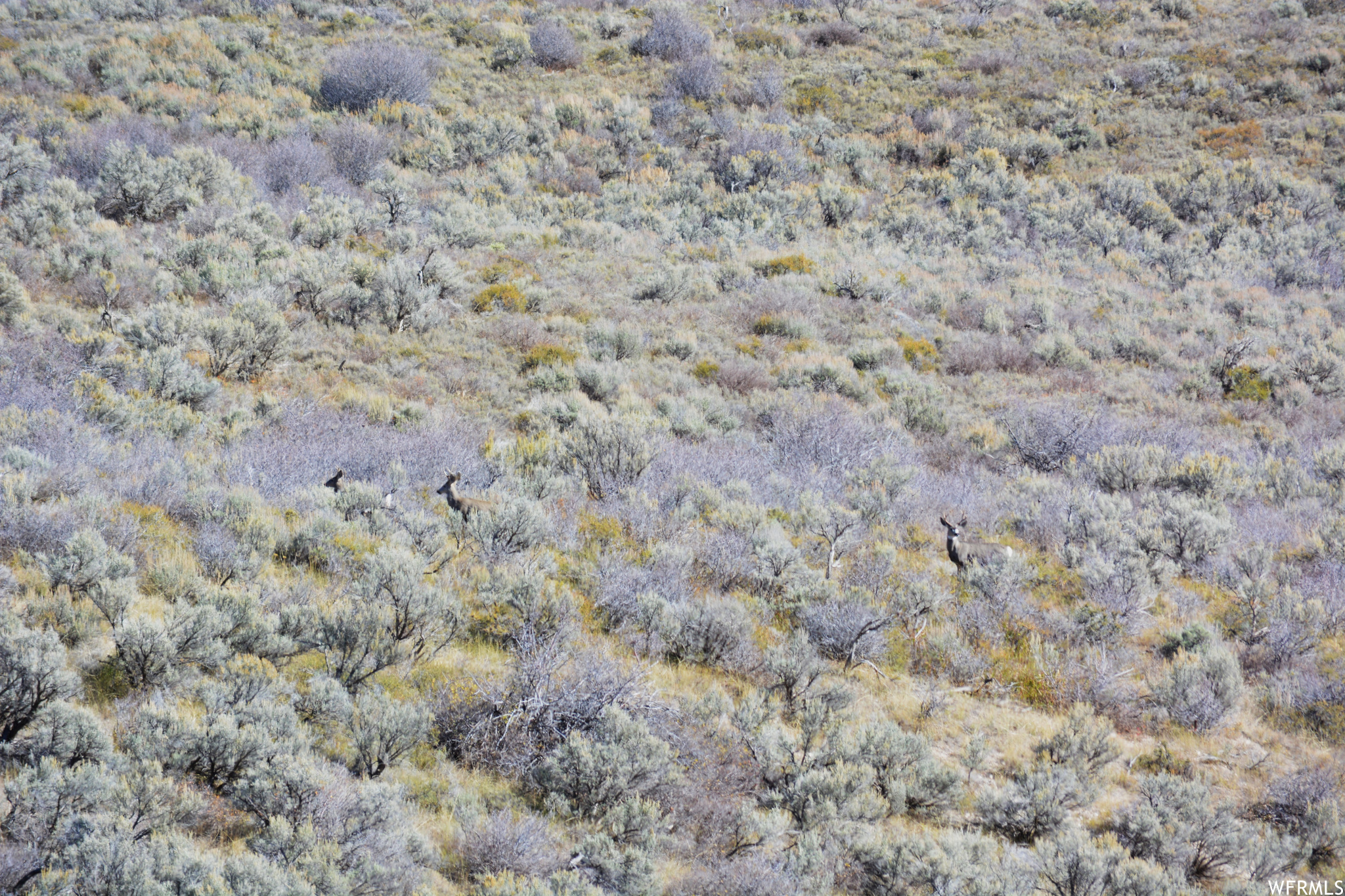 W Smit Rd And East Of Noveen Ln Rd, Georgetown, Idaho image 45