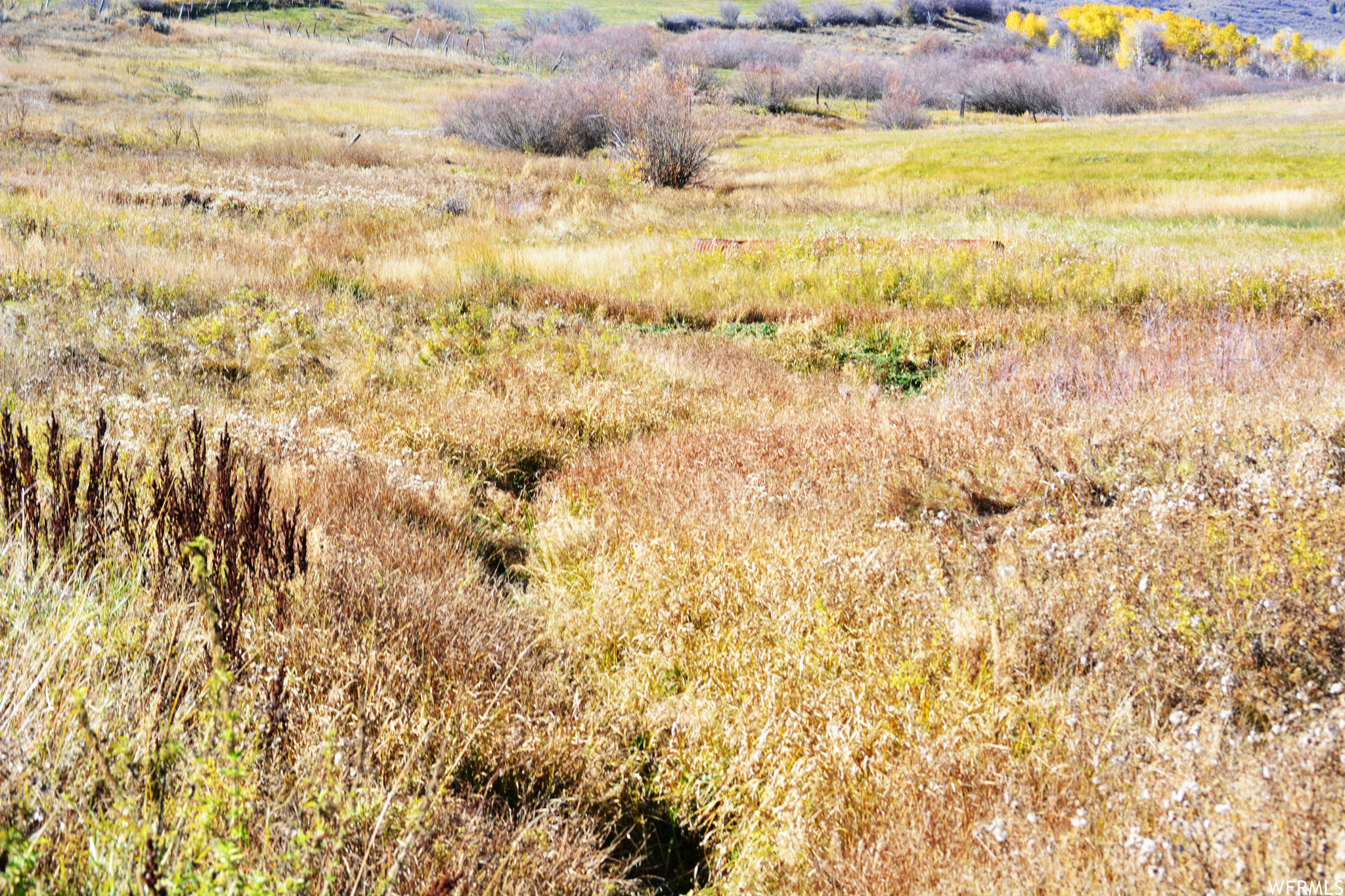 W Smit Rd And East Of Noveen Ln Rd, Georgetown, Idaho image 18