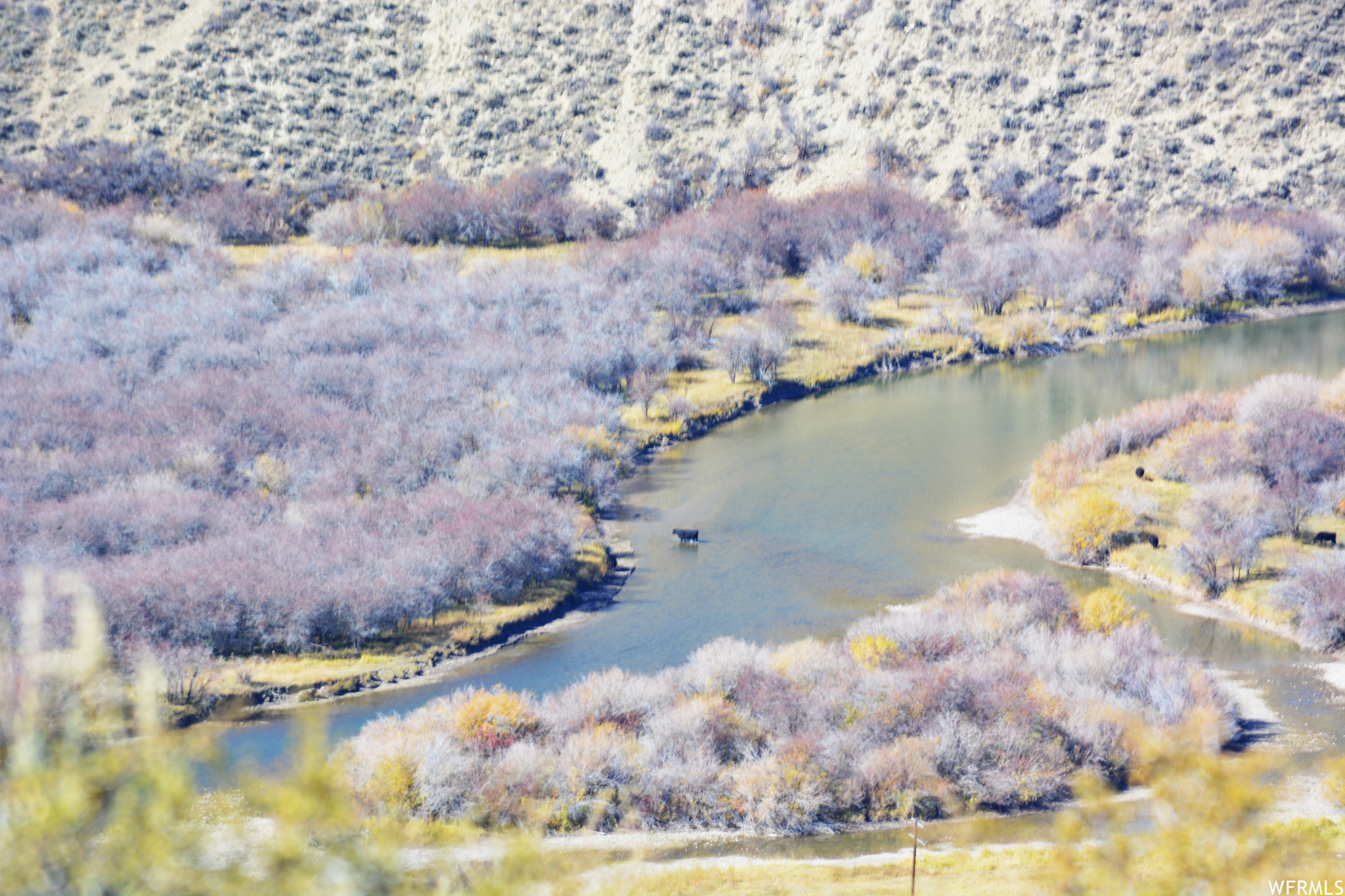 W Smit Rd And East Of Noveen Ln Rd, Georgetown, Idaho image 42