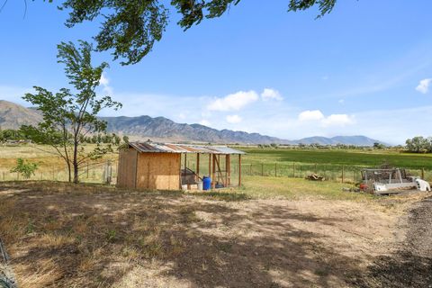 Tiny photo for 5885 W 8800 N, Elwood, UT 84337 (MLS # 2169657)