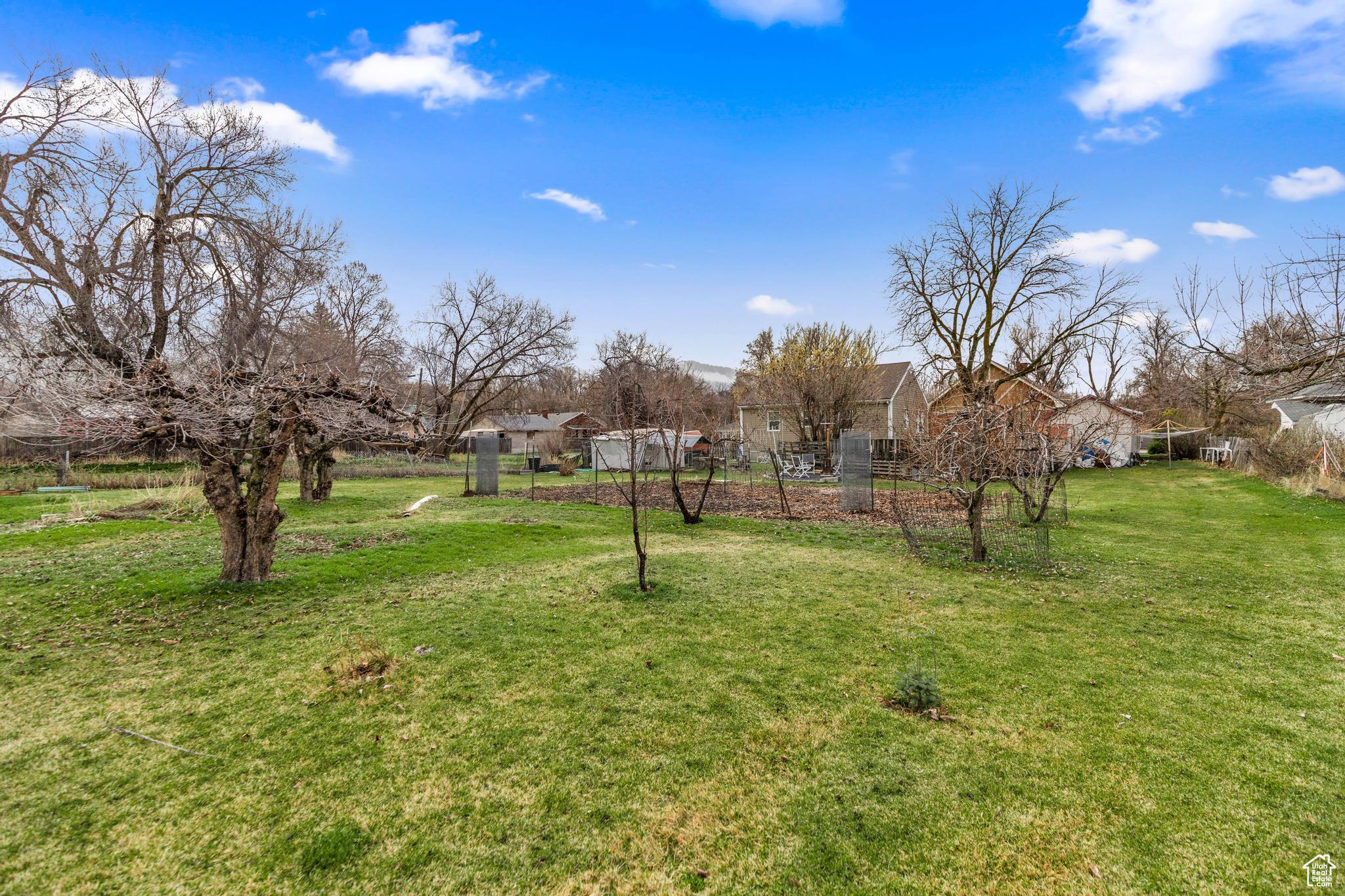 325 E 300, Logan, Utah image 30