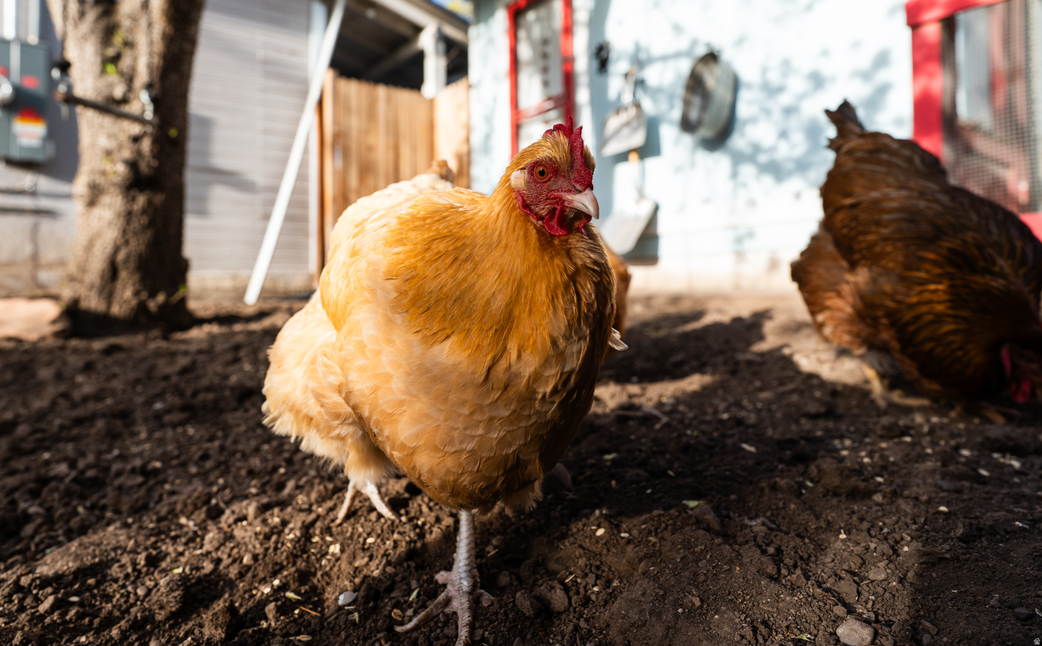 AVENUES - Residential