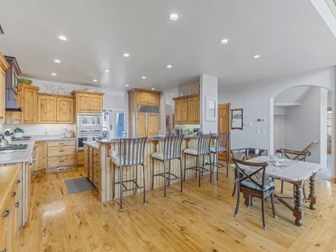 Tiny photo for 861 N 1100 E, Pleasant Grove, UT 84062 (MLS # 2134867)