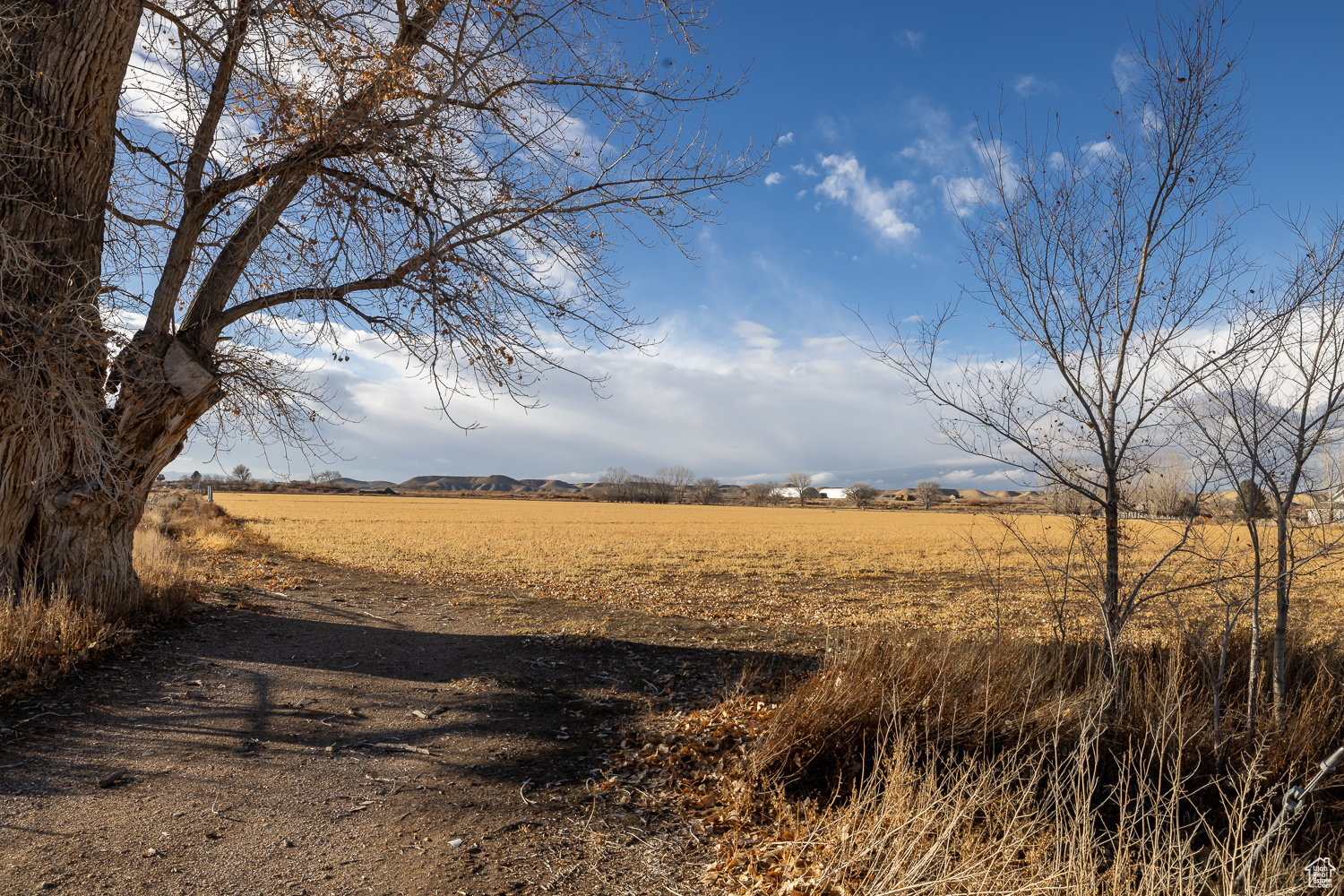 5206 S 9500, Jensen, Utah image 4