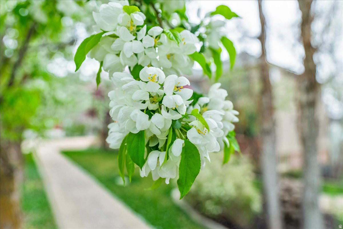 EAGLEWOOD COVE SUB - Residential