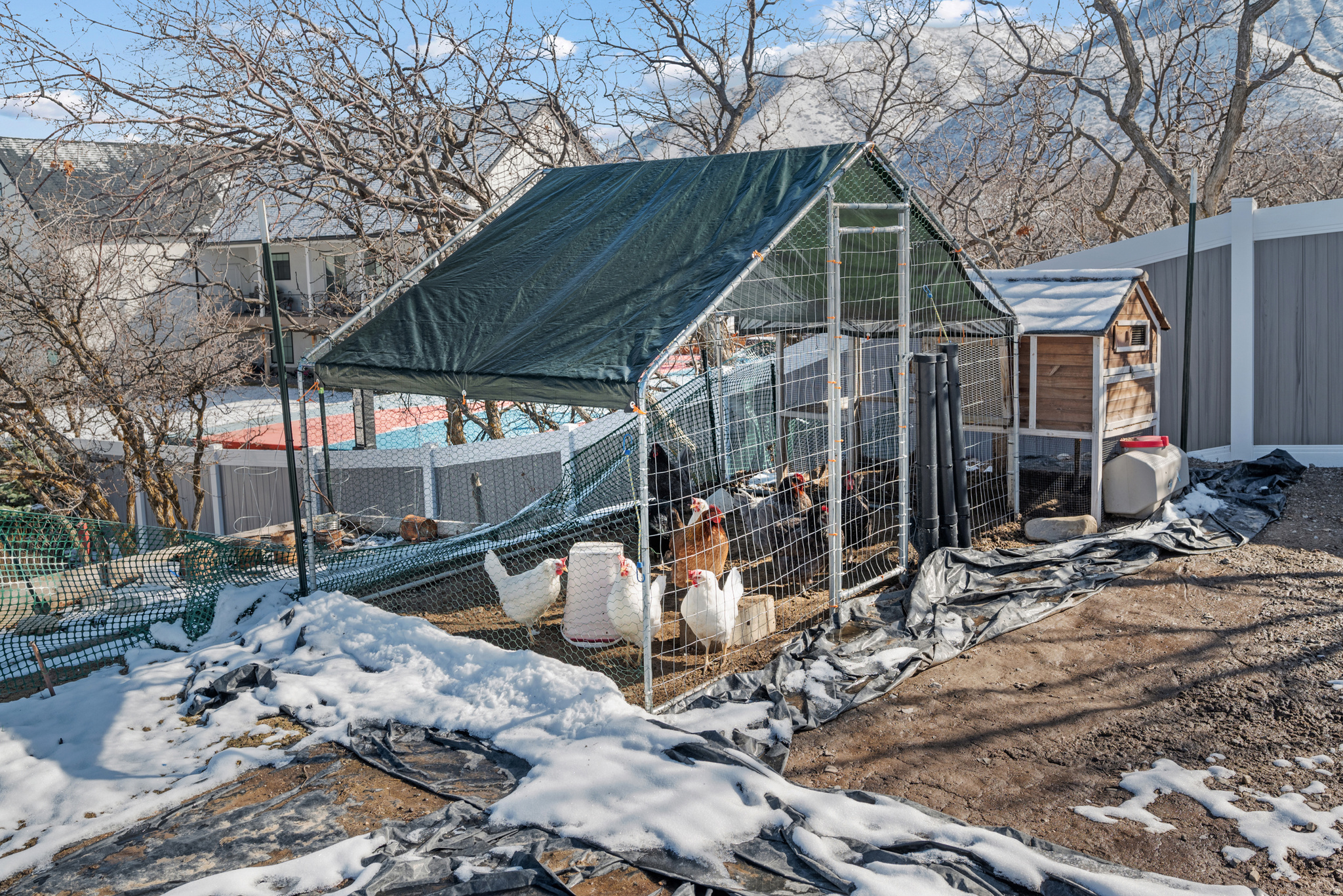 COUNTRY VIEW - Residential