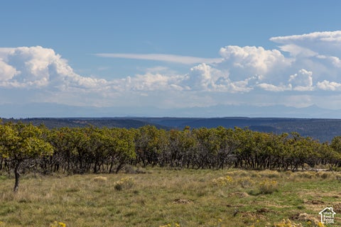 Tiny photo for 16 N PORCUPINE LN, La Sal, UT 84530 (MLS # 2189792)