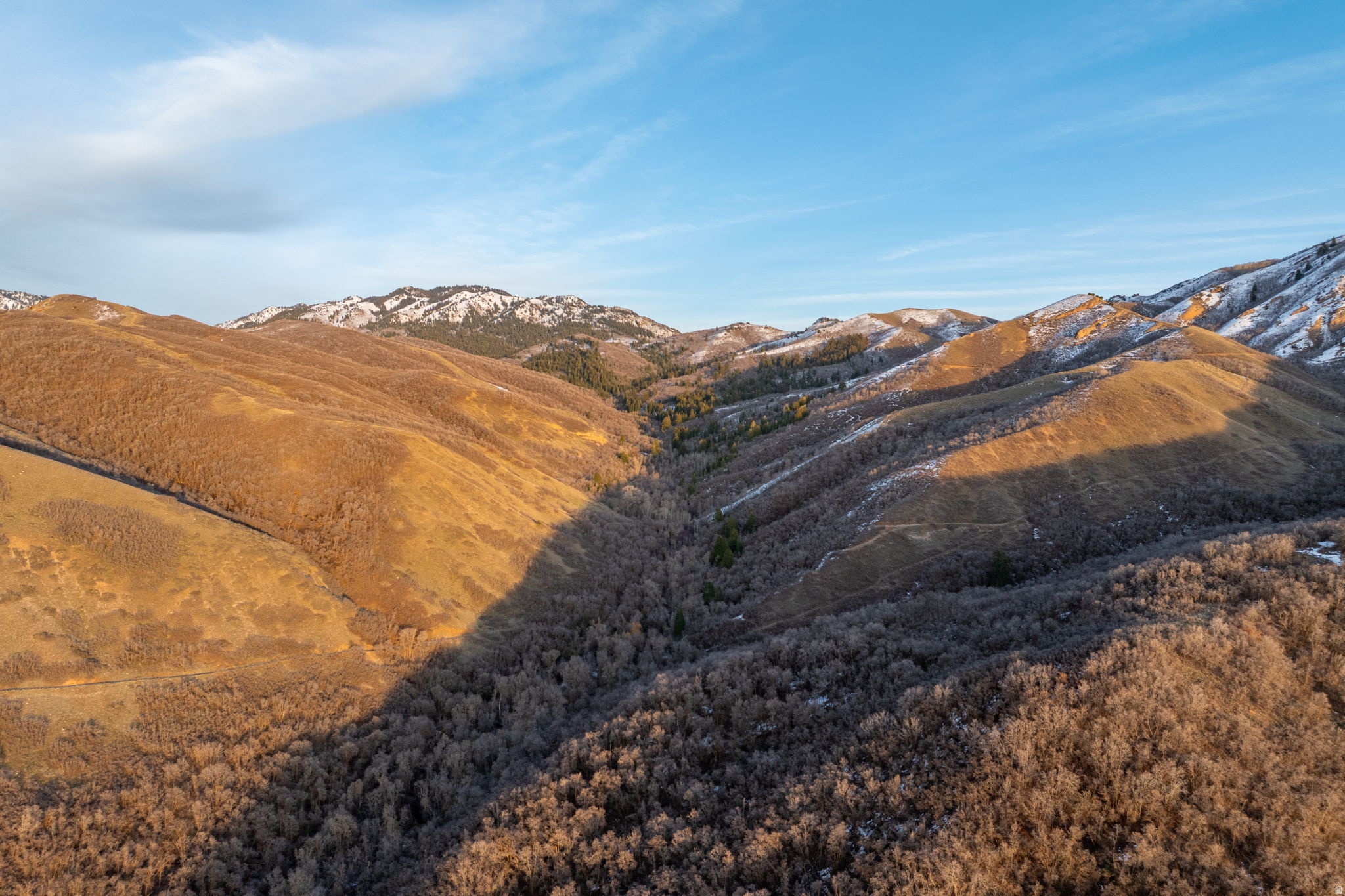 CHELSEA COVE - Residential