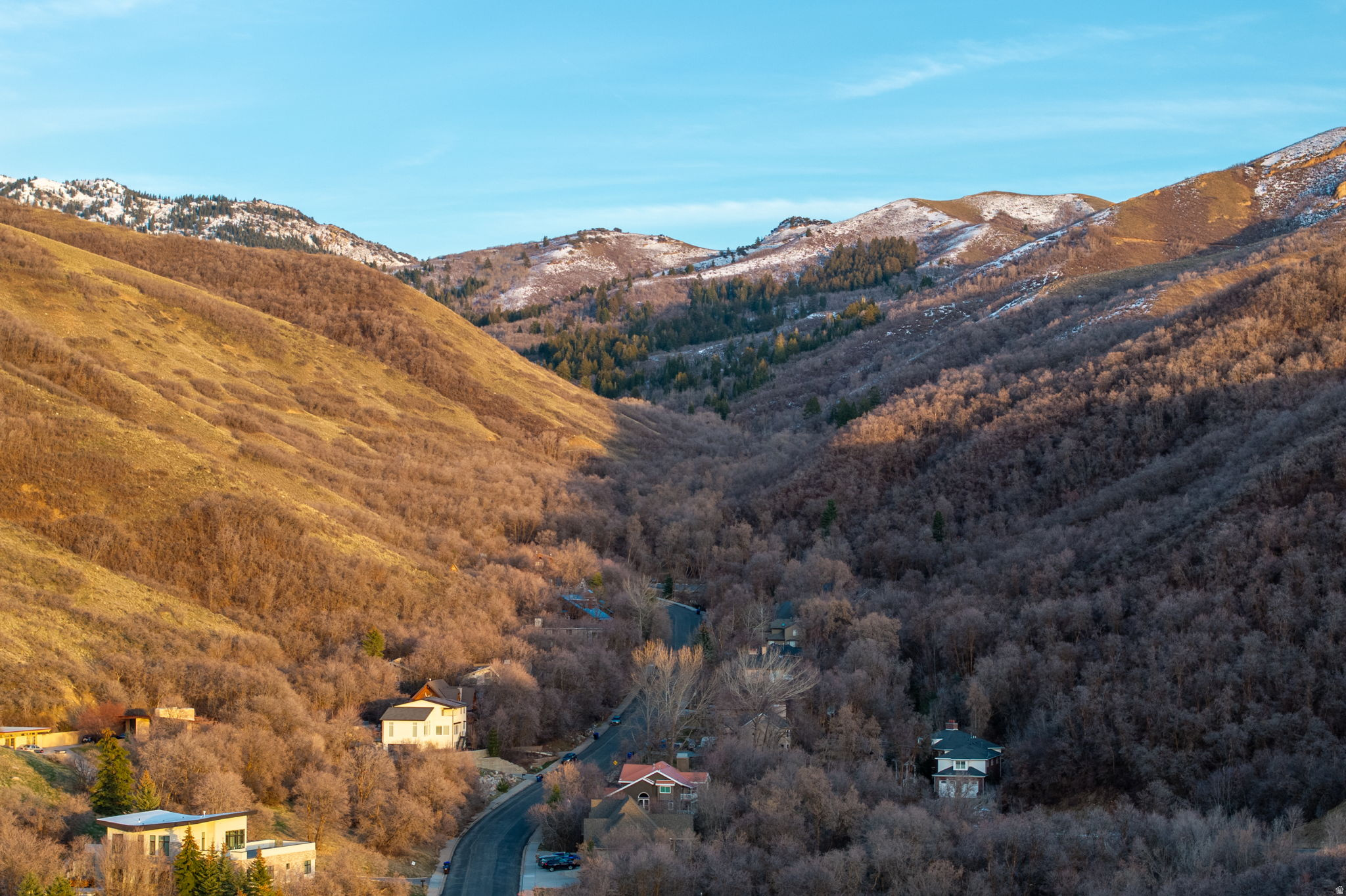 CHELSEA COVE - Residential