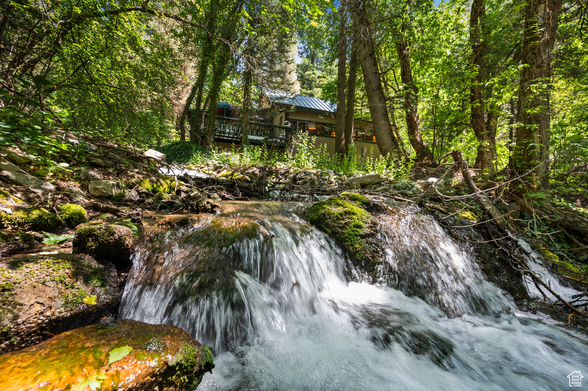 PORTER FORK #1 - Land