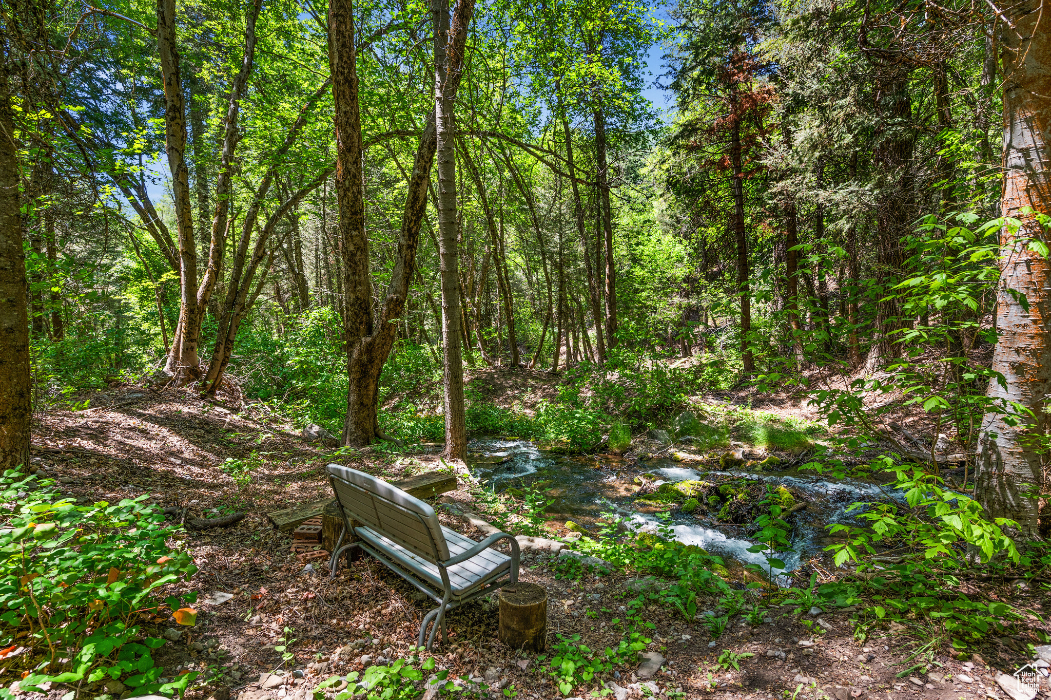 PORTER FORK #1 - Land