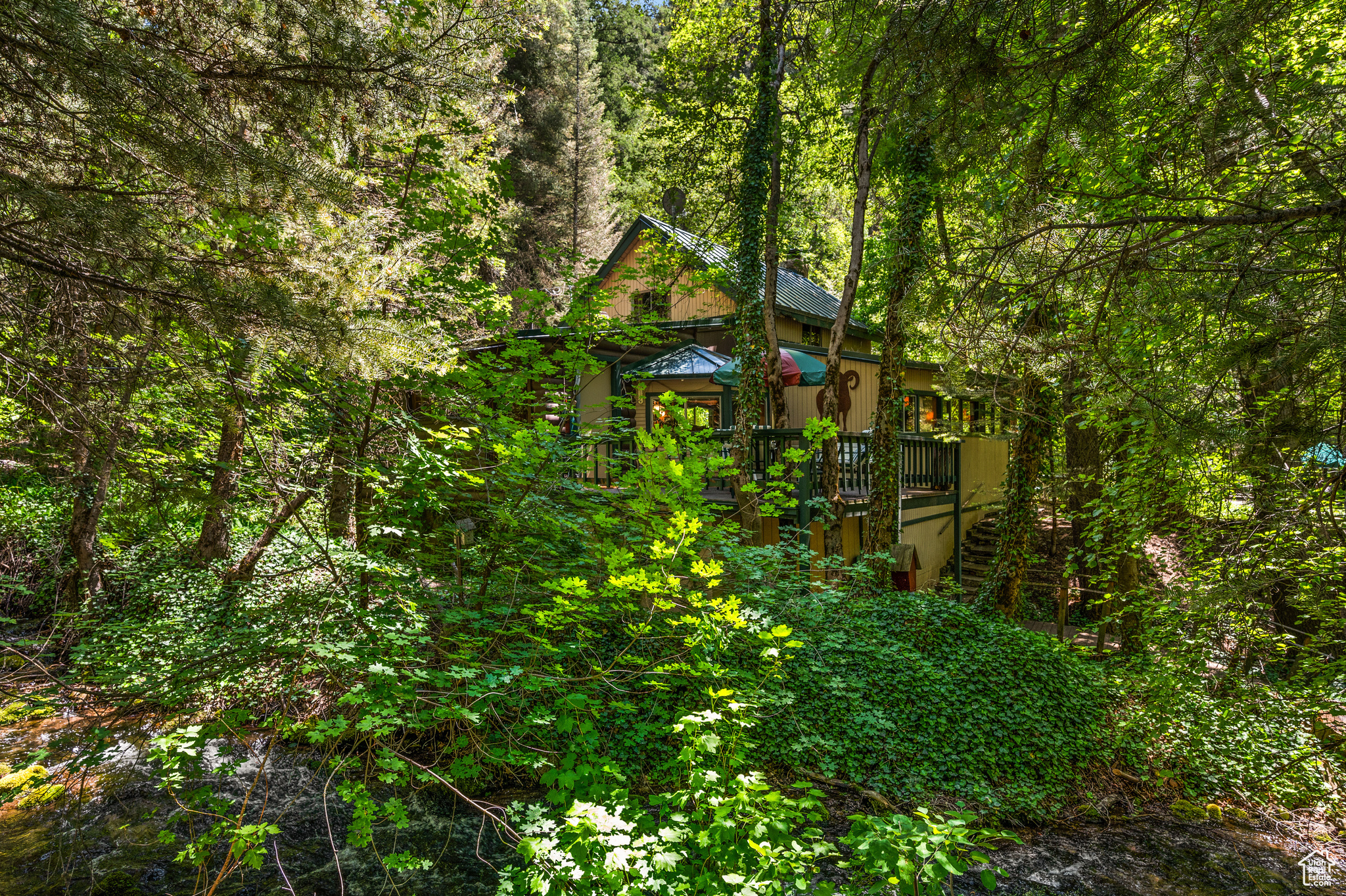 PORTER FORK #1 - Land