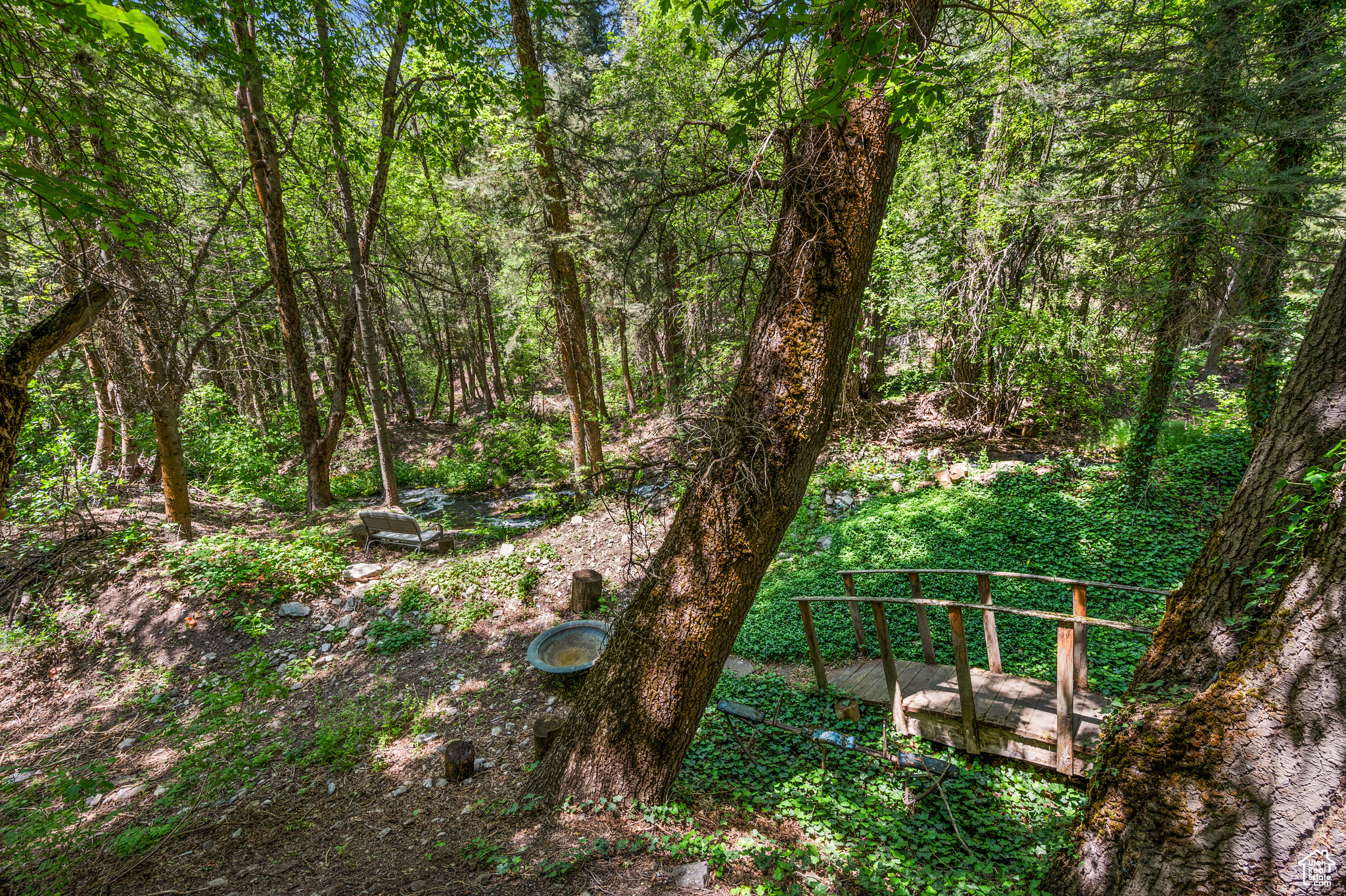 PORTER FORK #1 - Land