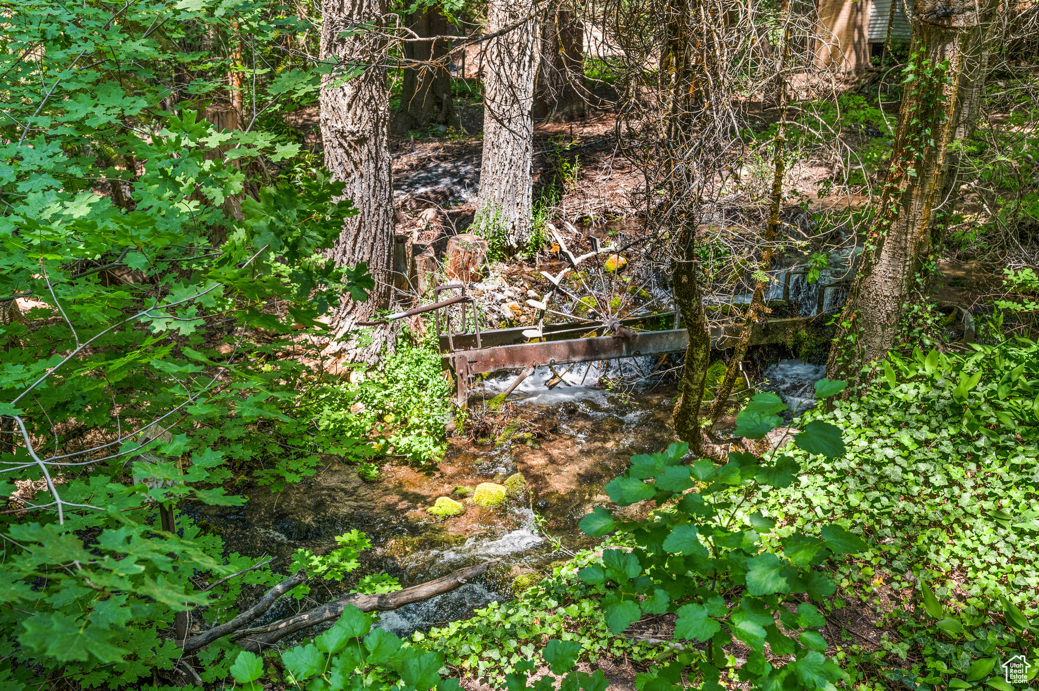 PORTER FORK #1 - Land