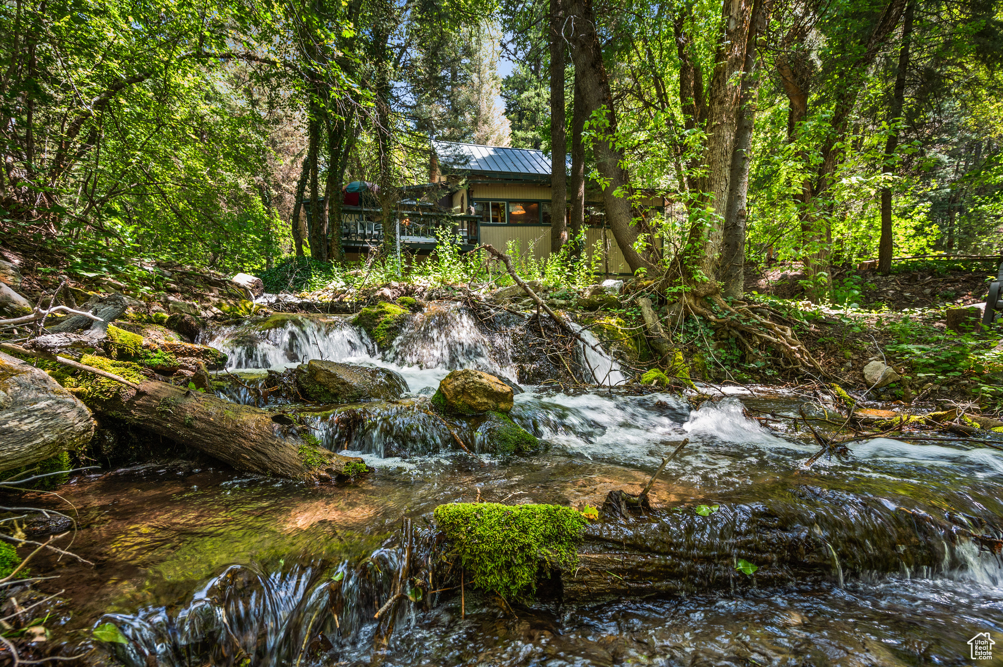 PORTER FORK #1 - Land