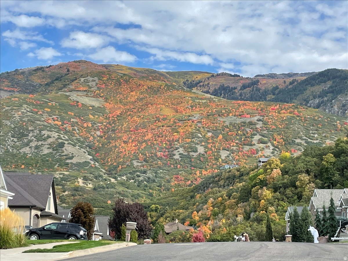 SILVERLEAF ESTATES - Residential