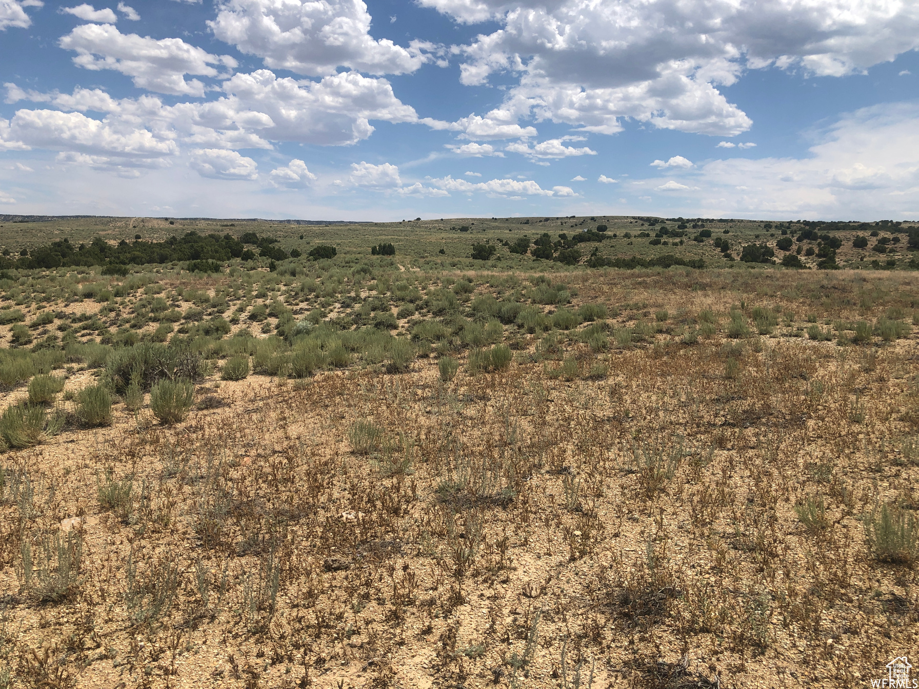 MOONDANCE RANCH - Land