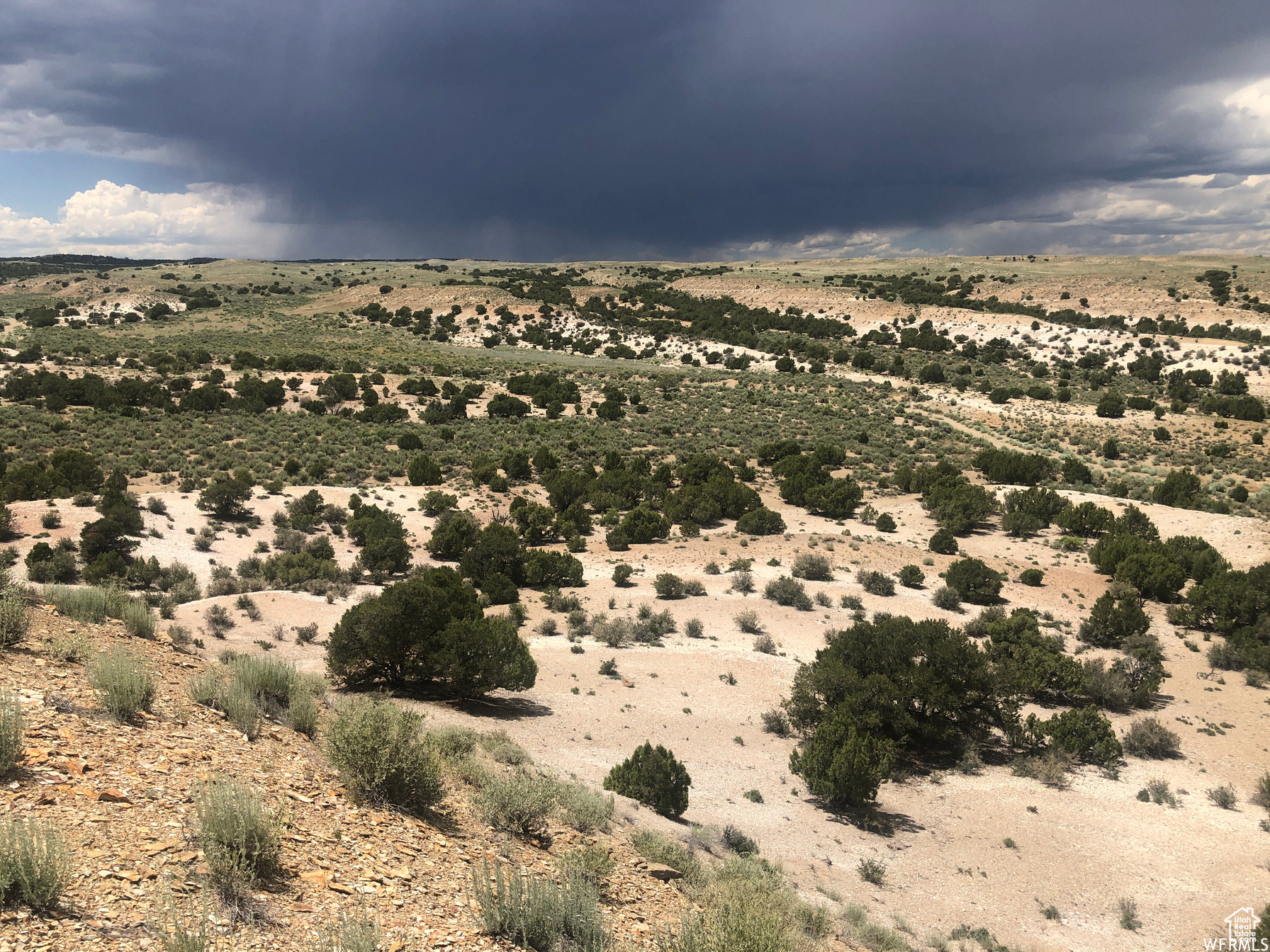 MOONDANCE RANCH - Land