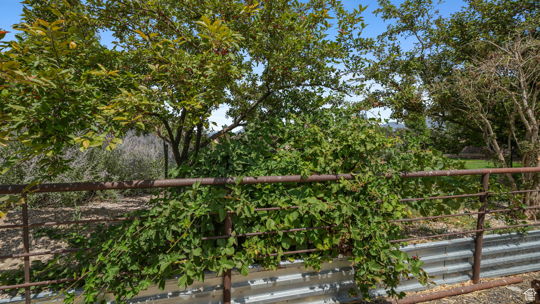 BARTOLD - Residential