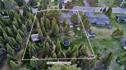98 N Woodland Dr, Soda Springs, Idaho image 50