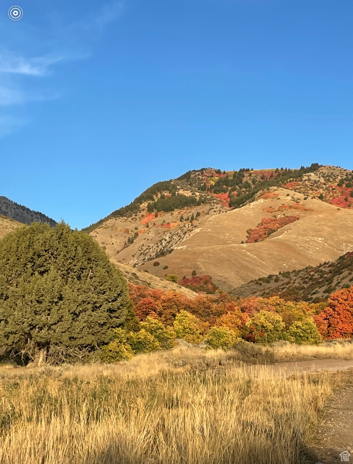 VISTAS AT DRY CANYON - Residential