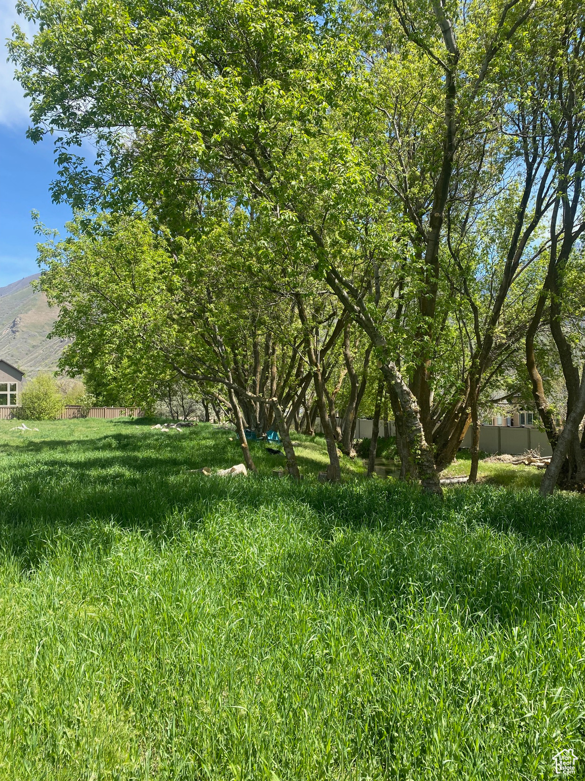2678 E Canyon Rd, Springville, Utah image 4