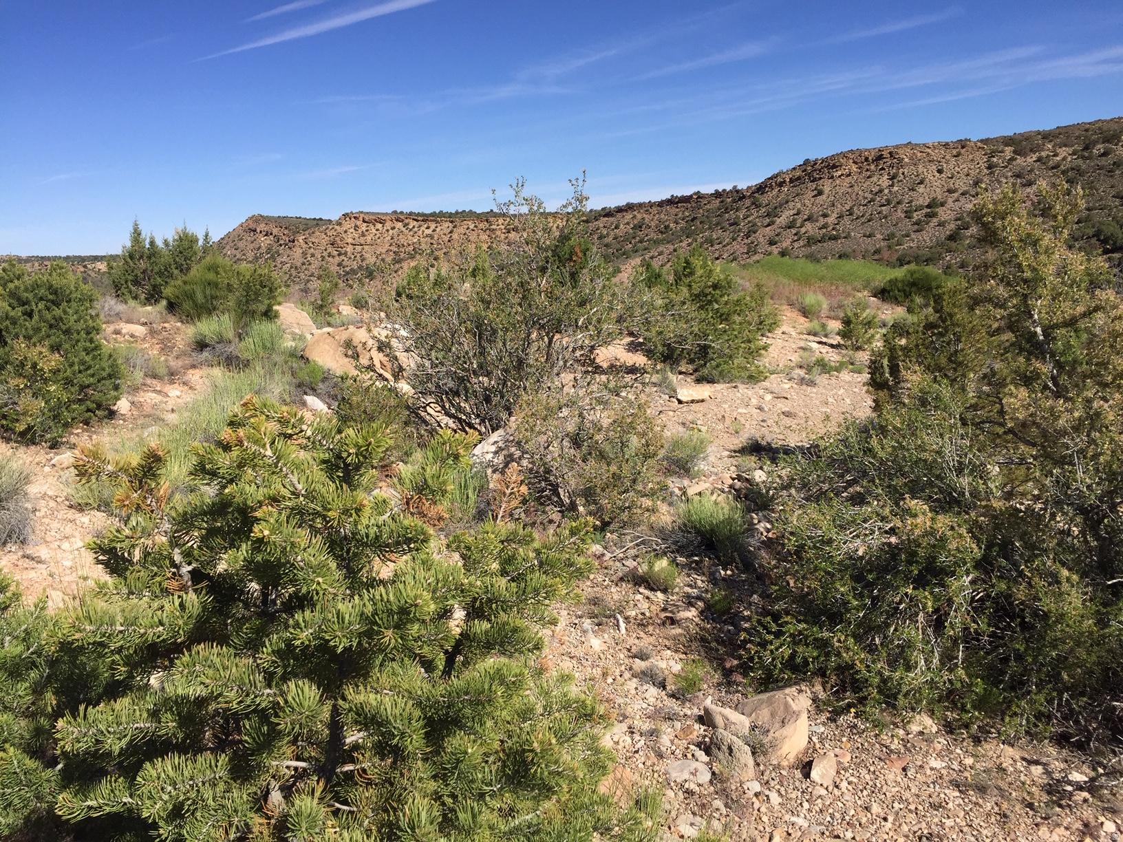KANE CREEK CANYON ES - Land