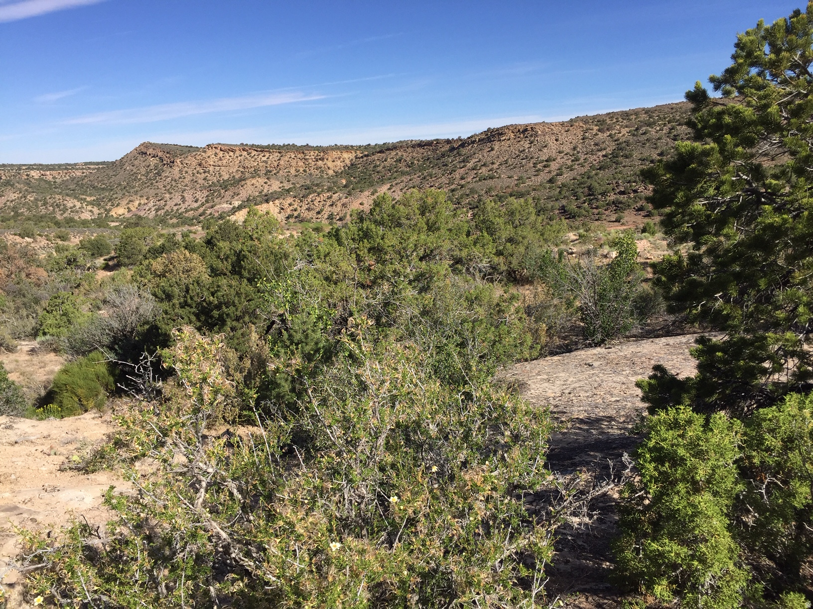 KANE CREEK CANYON ES - Land