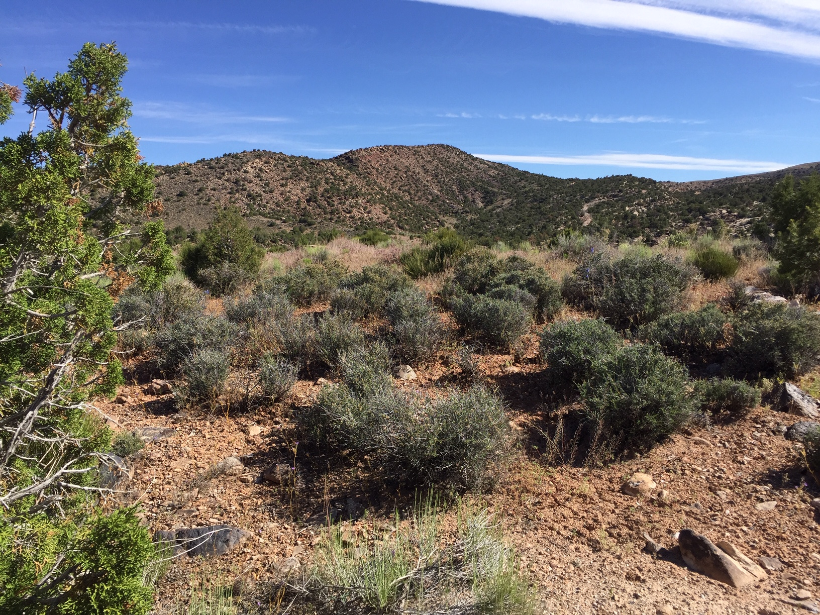 KANE CREEK CANYON ES - Land