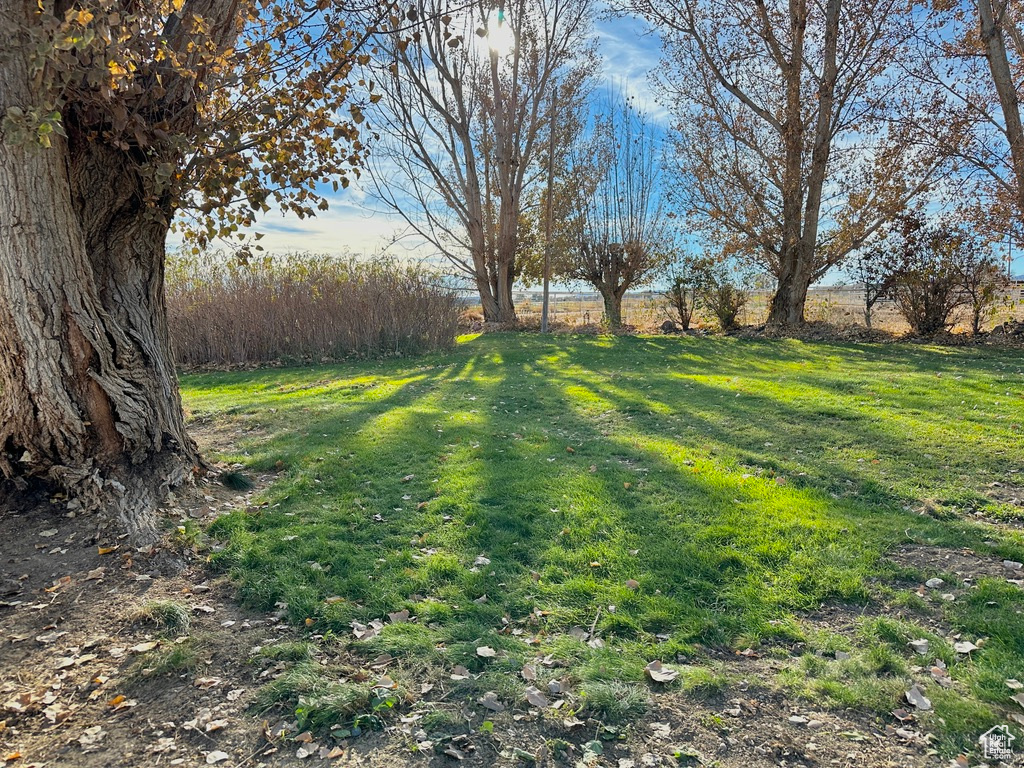 5460 S 9500, Jensen, Utah image 43