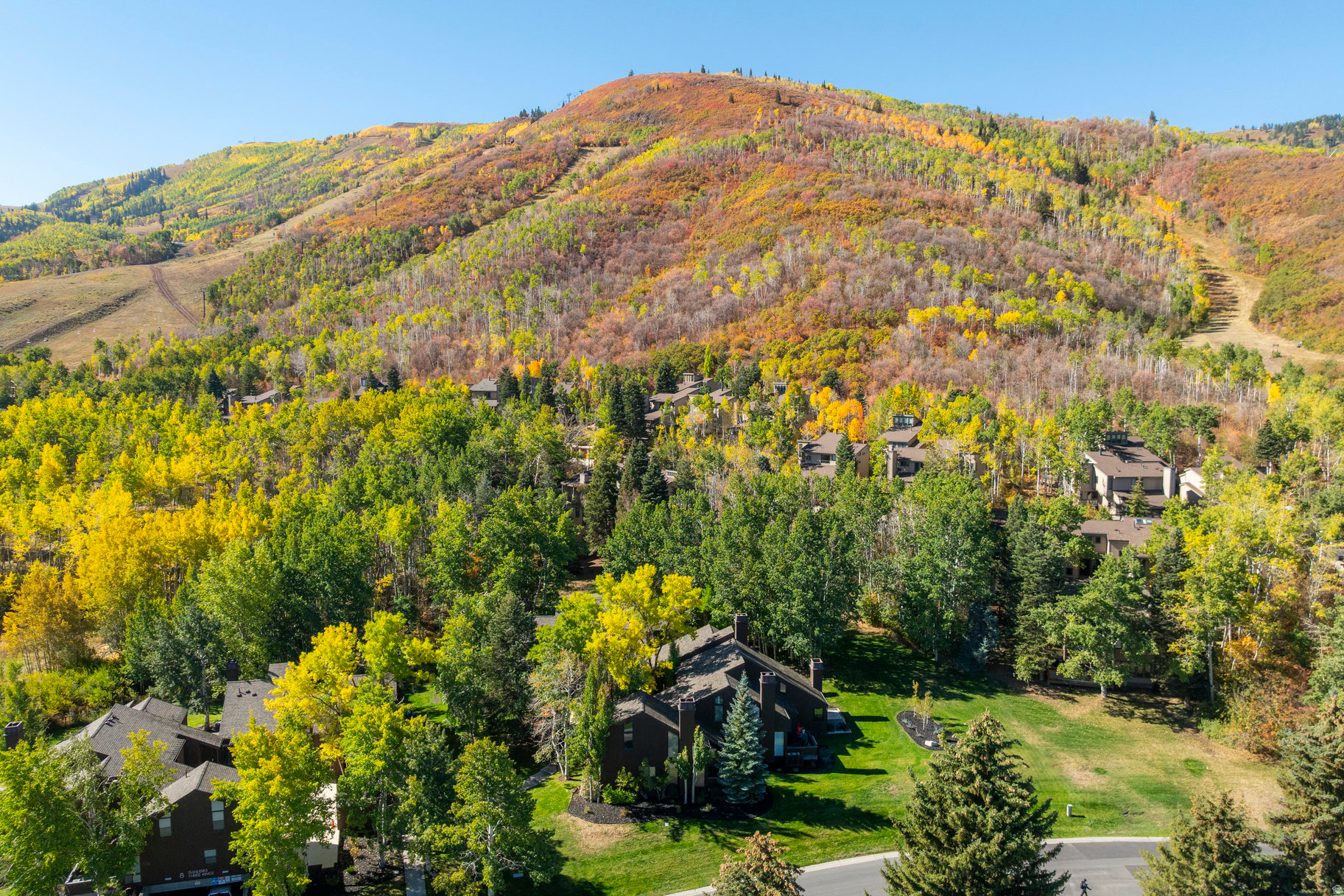 THREE KINGS - Residential