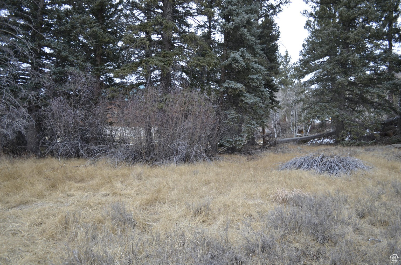 60 N 1270, Panguitch, Utah image 7