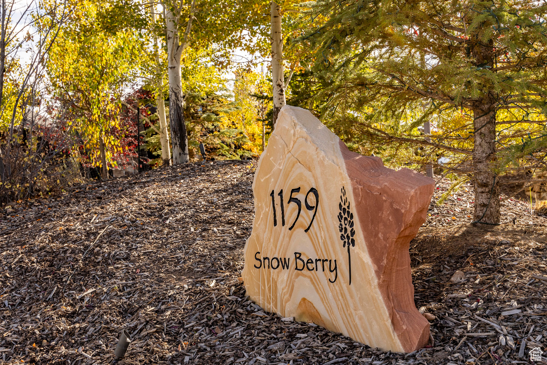 PARK CITY - Residential