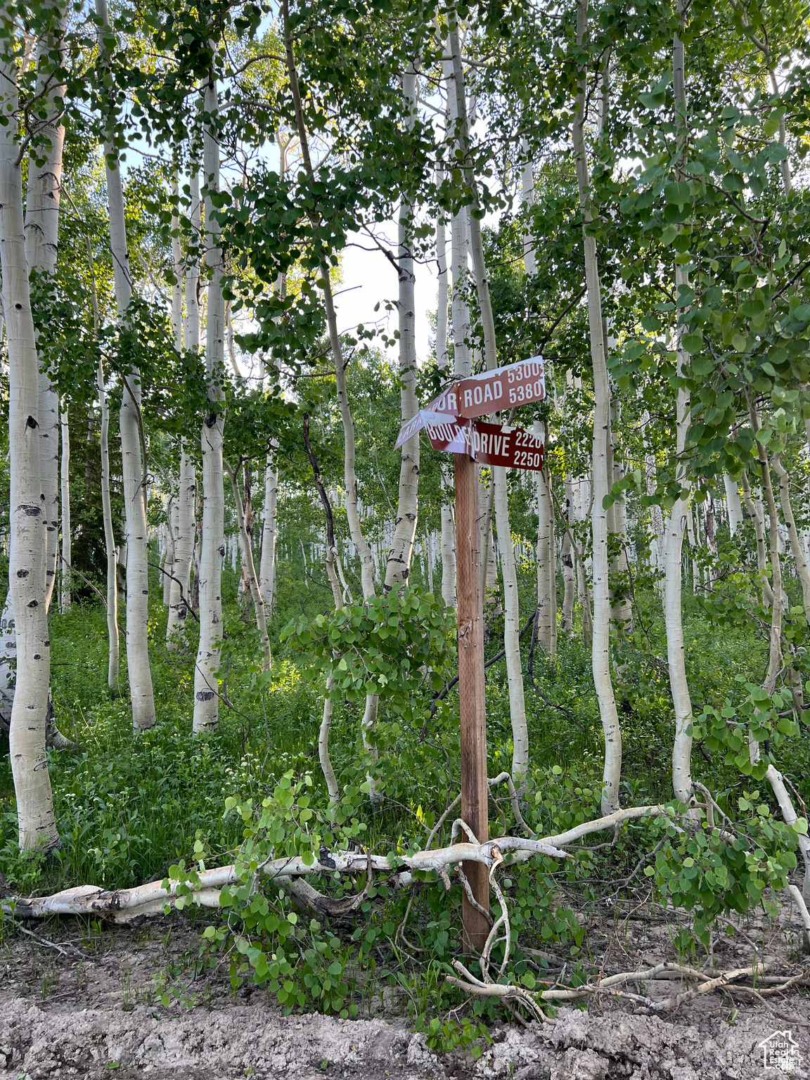 5199 N Larkspur Rd #79, Midway, Utah image 12