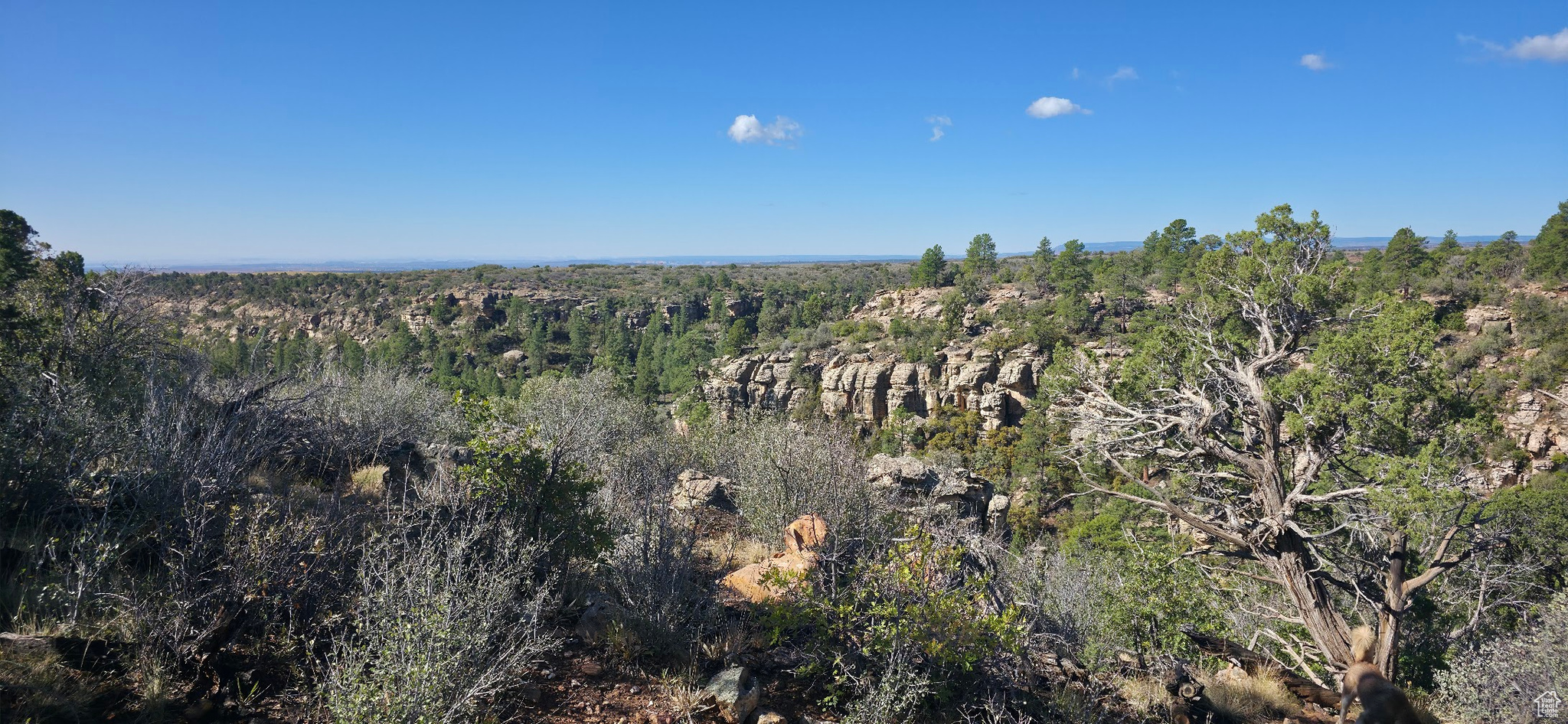CANYON TERRACE SUBDIVISION - Residential