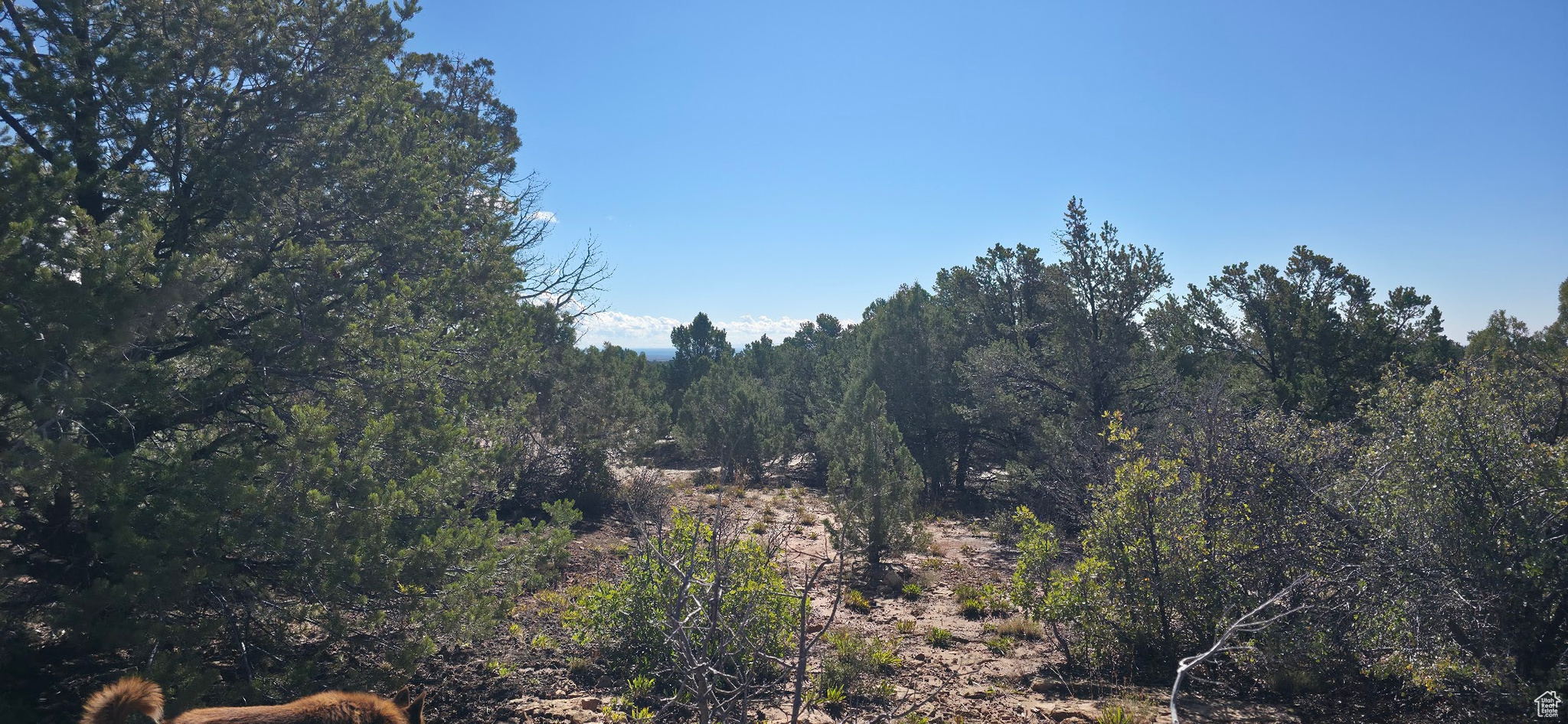 CANYON TERRACE SUBDIVISION - Residential