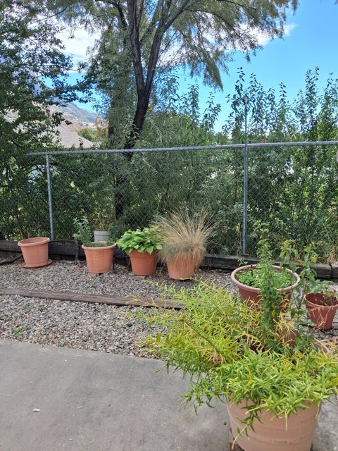 Tiny photo for 885 E 1525 N, North Ogden, UT 84404 (MLS # 2186414)