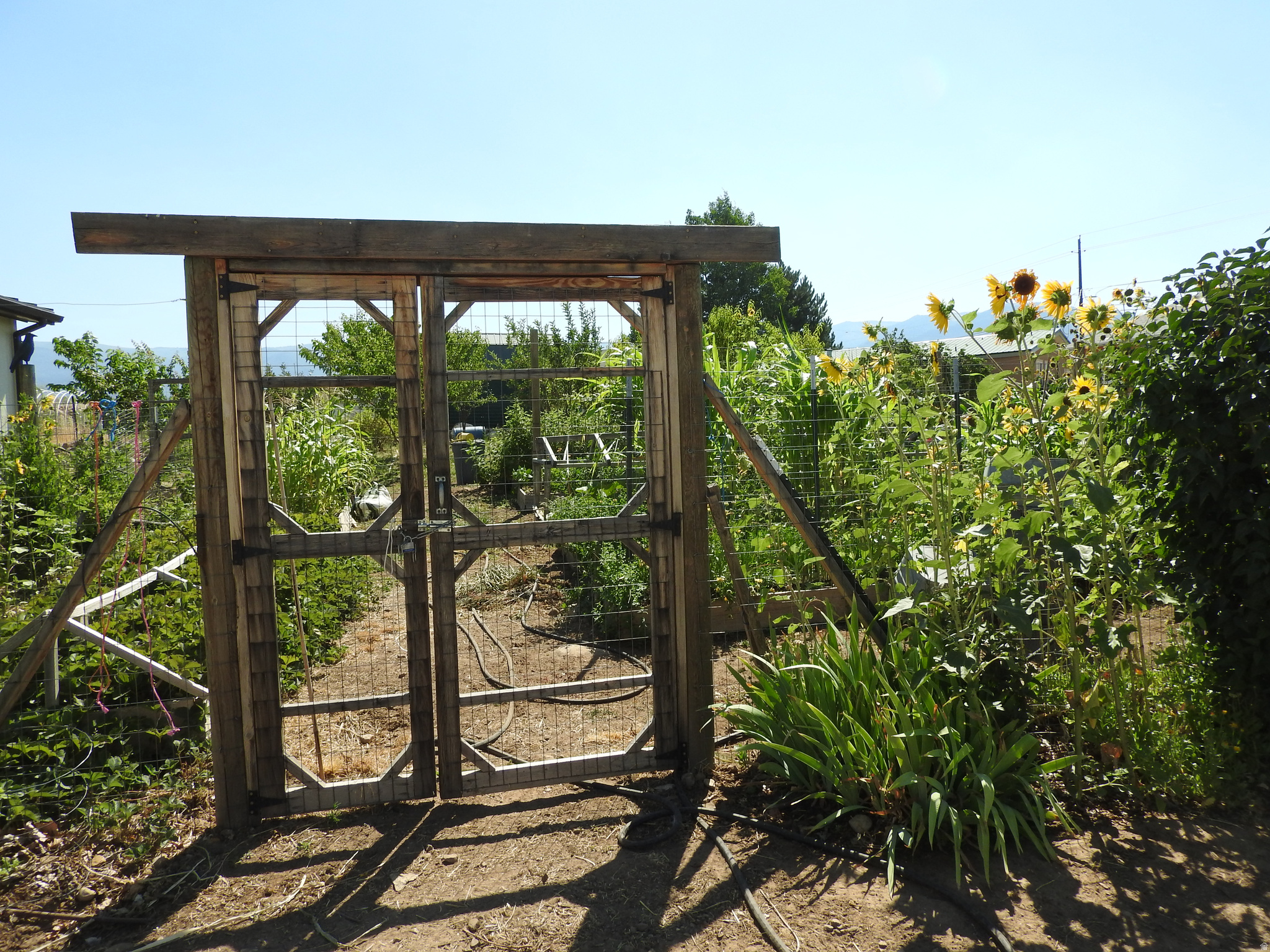 COUNTRY ROAD HAVEN - Residential