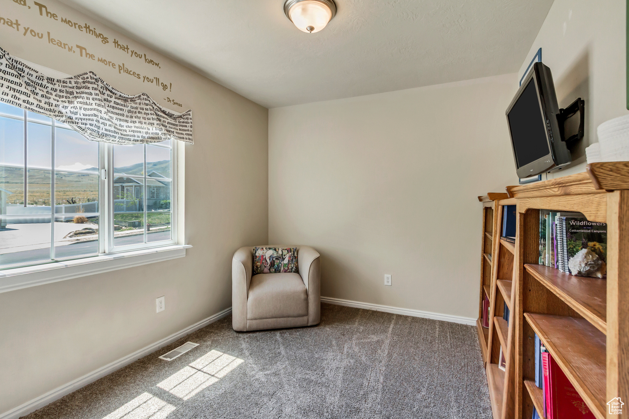 126 W Casi Way, Saratoga Springs, Utah image 32
