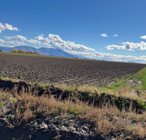 7200 W 8000 RD N Tremonton UT 84337